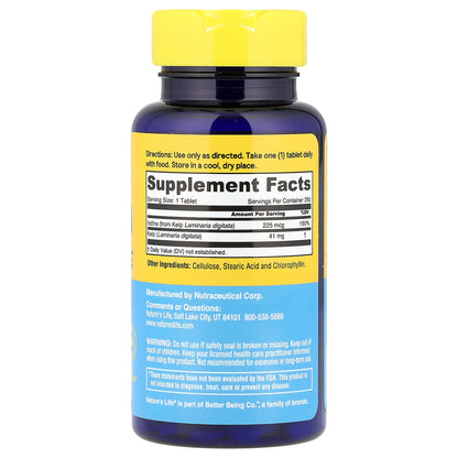 Nature's Life, Icelandic Kelp, 41 mg, 250 Tablets