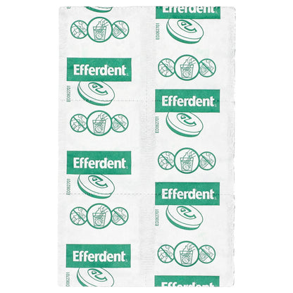 Efferdent, Anti-Bacterial Dental Appliance Cleanser, Minty Fresh & Clean, 90 Tablets