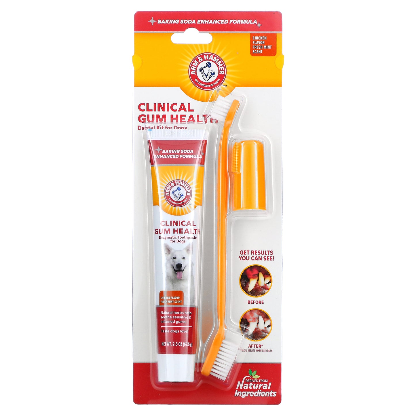 Arm & Hammer, Clinical Gum Health, Dental Kit For Dogs, Chicken, 3 Piece Kit