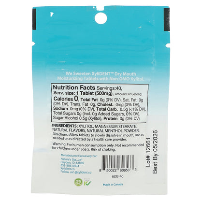 XyliDENT, Dry Mouth Moisturizing Tablets with Xylitol, Wintergreen, 40 Tablets