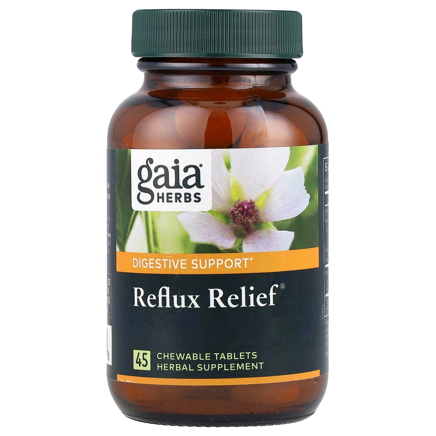 Gaia Herbs, Reflux Relief®, 45 Chewable Tablets