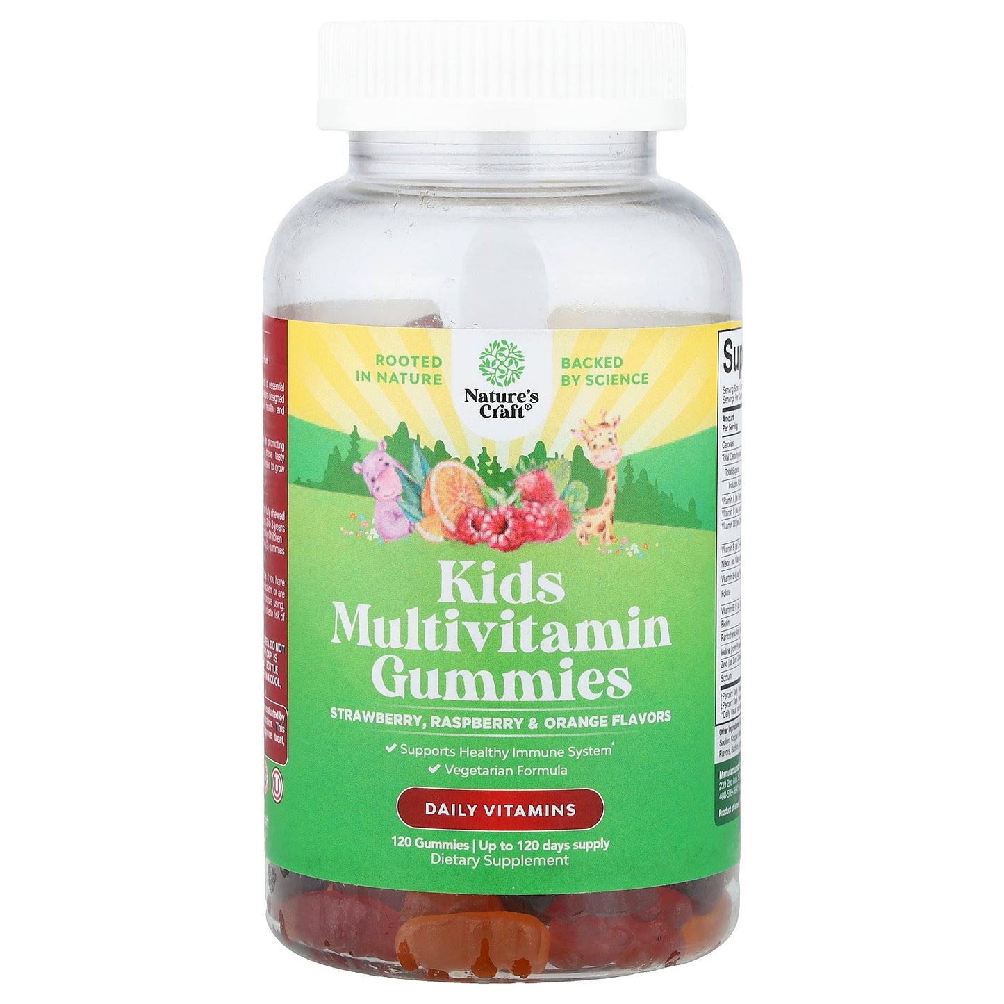 Nature's Craft, Kids Multivitamin Gummies, Strawberry, Raspberry & Orange, 120 Gummies