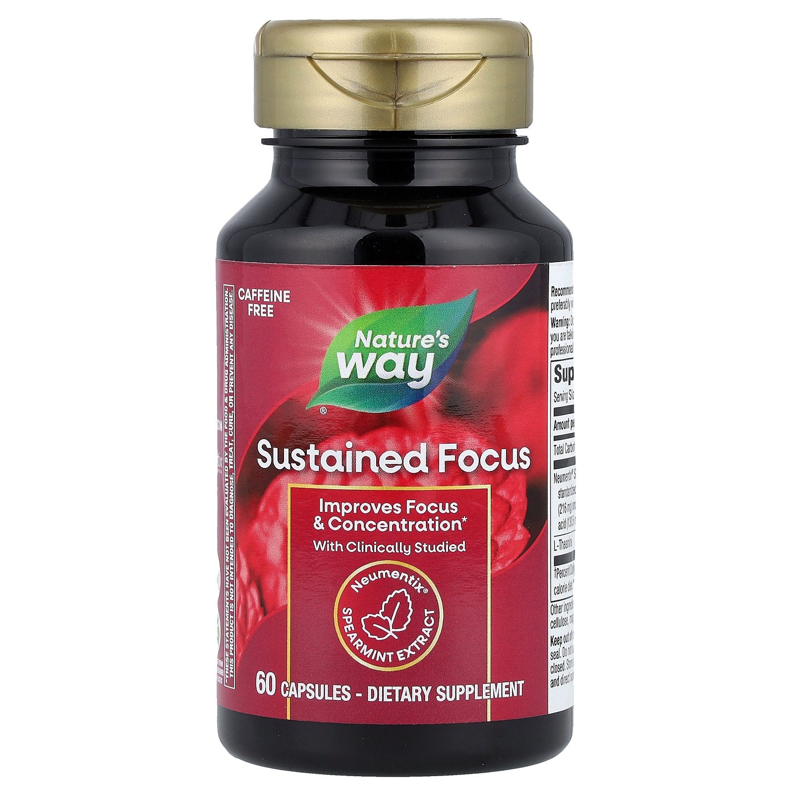 Nature's Way, Sustained Focus, 60 Capsules