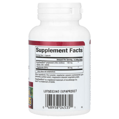 Natural Factors, GrapeSeedRich, Grape Seed Extract, 100 mg, 60 Vegetarian Capsules