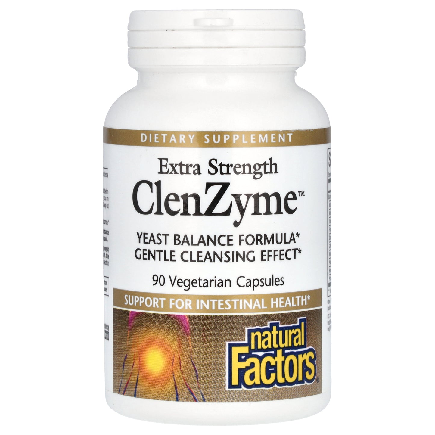 Natural Factors, ClenZyme, 90 Vegetarian Capsules