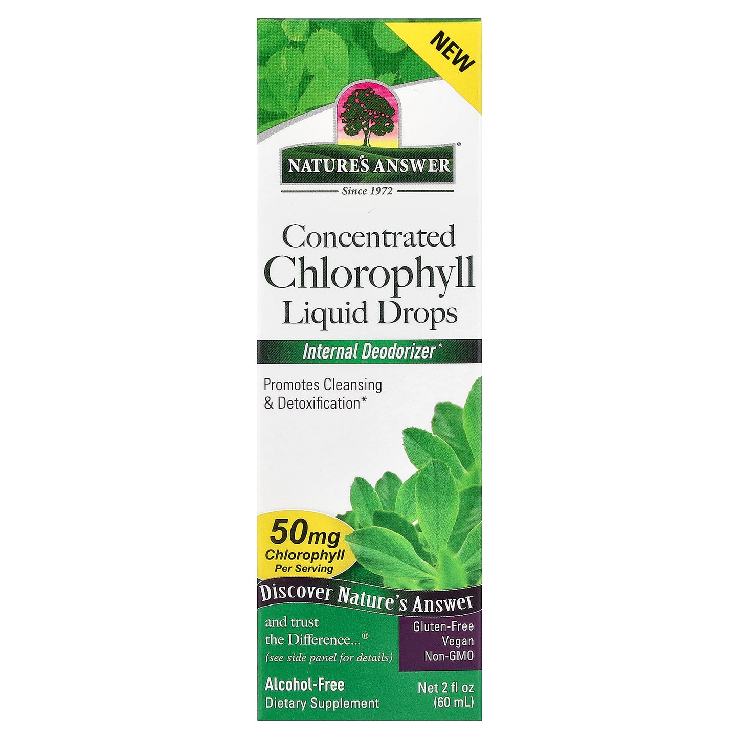 Nature's Answer, Concentrated Chlorophyll Liquid Drops, Alcohol-Free, 2 fl oz (60 ml)