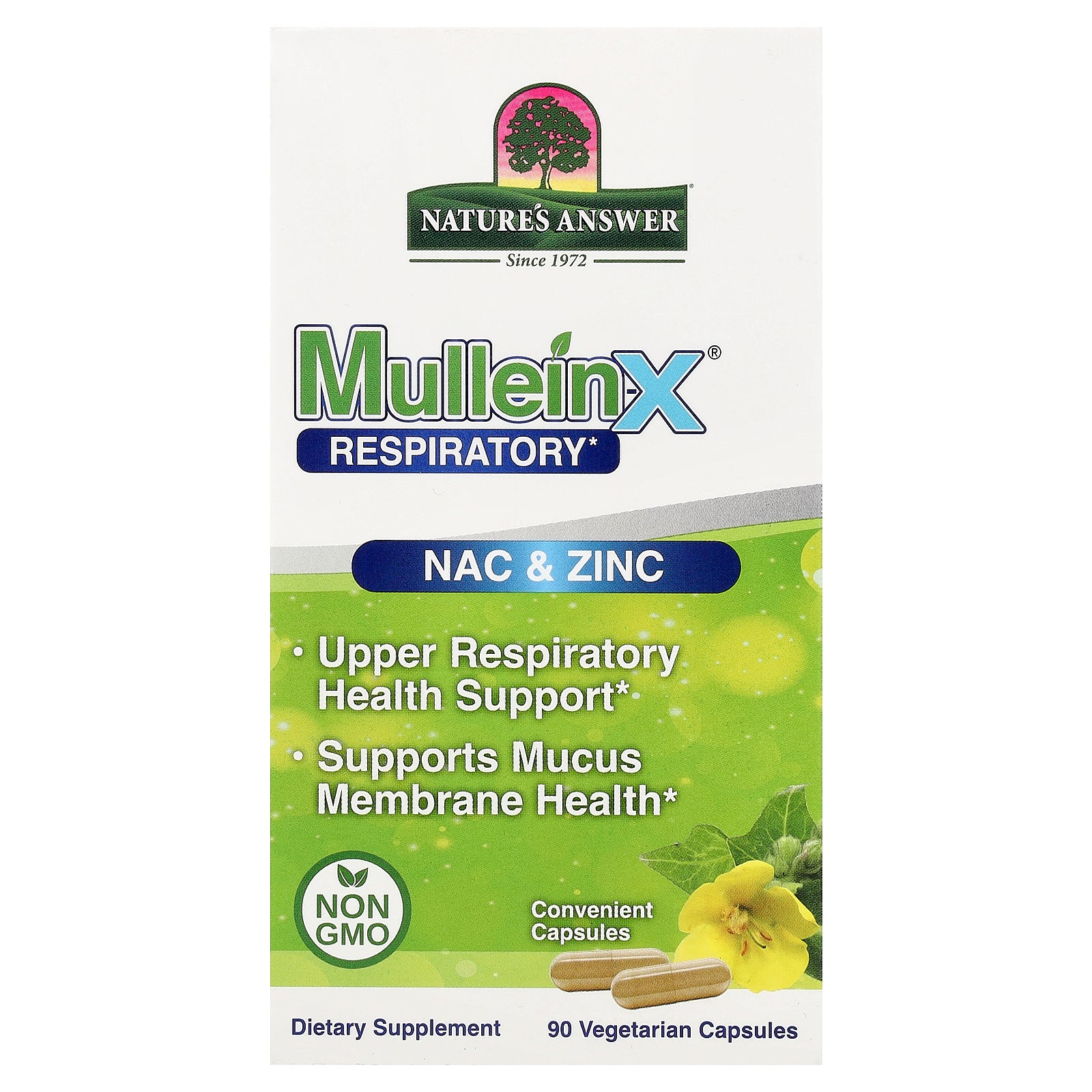 Nature's Answer, MulleinX® Respiratory, NAC & Zinc, 90 Vegetarian Capsules