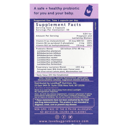 LoveBug Probiotics, Postnatal Probiotic, 20 Billion CFU, 30 Capsules