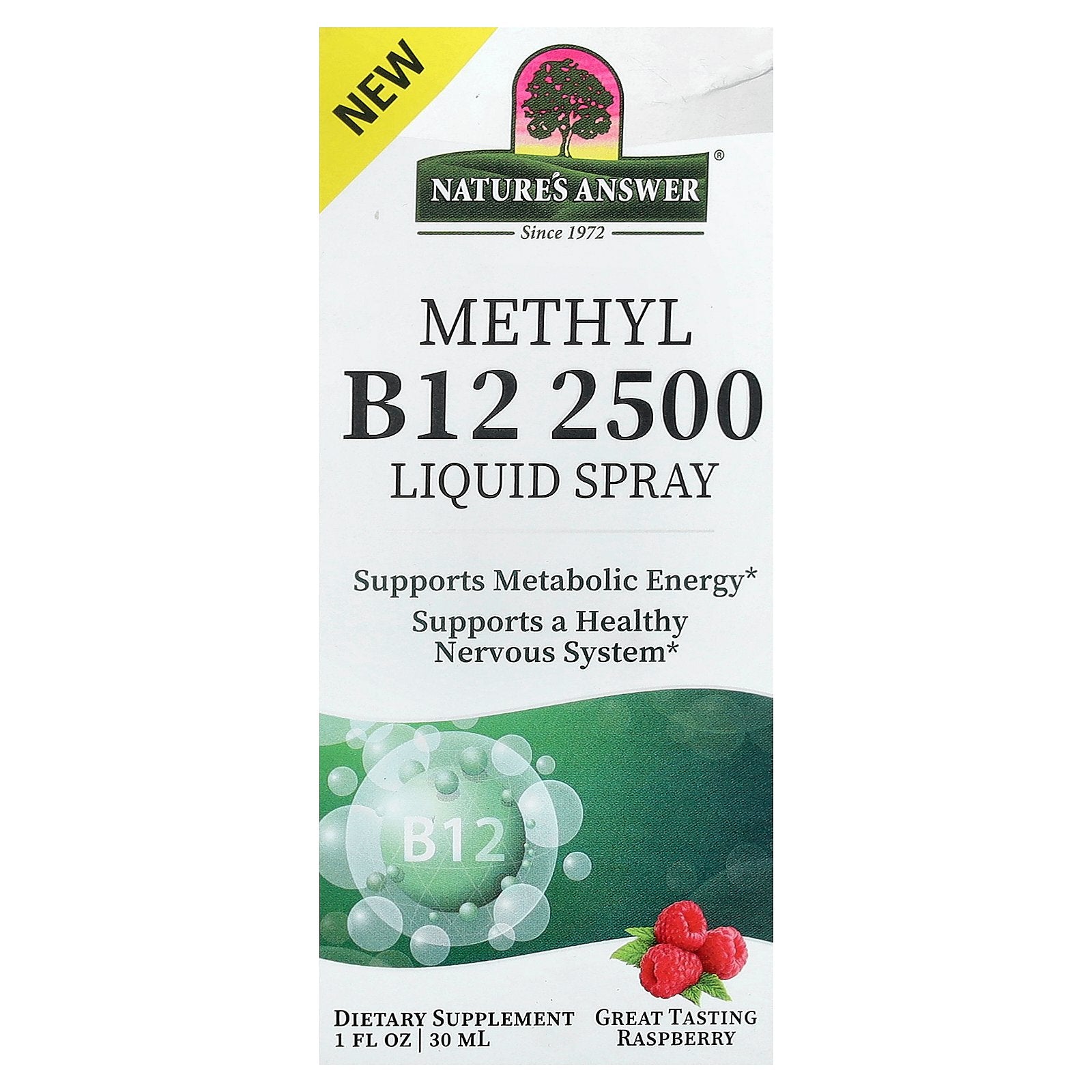 Nature's Answer, Methyl B12 2500 Liquid Spray, Raspberry, 1 fl oz (30 ml)