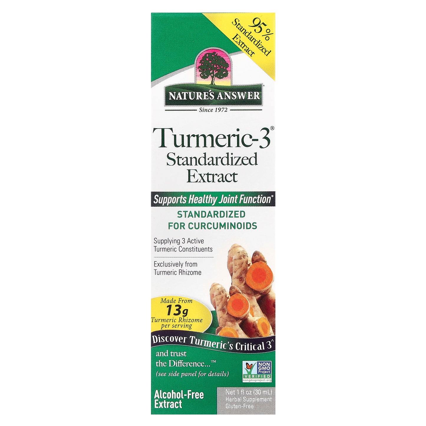 Nature's Answer, Turmeric-3®, Alcohol-Free, 200 mg, 1 fl oz (30 ml)