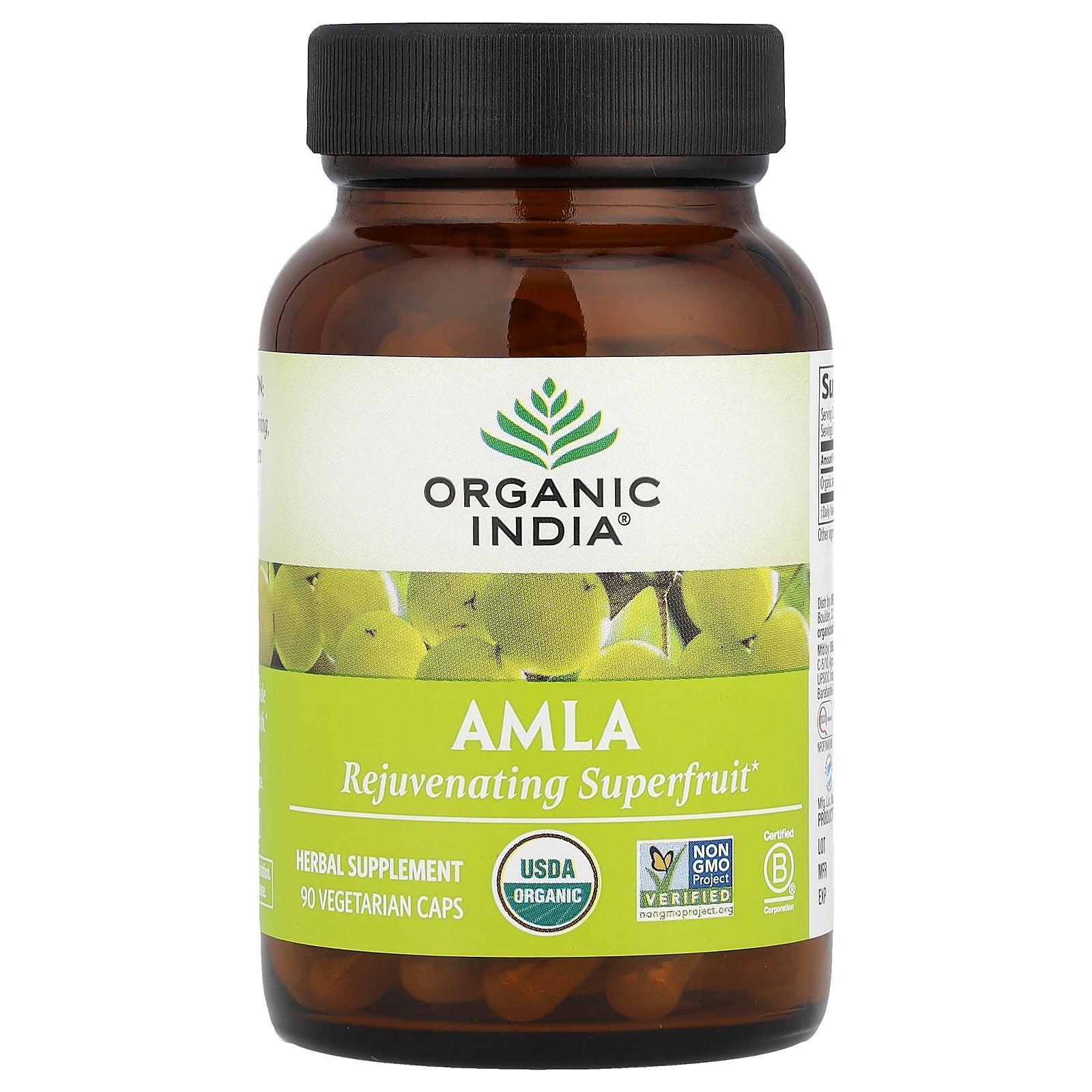 Organic India, Amla, 90 Vegetarian Caps (500 mg per Capsule)