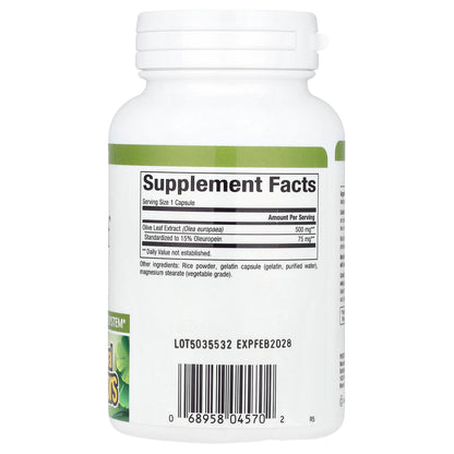 Natural Factors, HerbalFactors®, Olive Leaf, 500 mg, 90 Capsules
