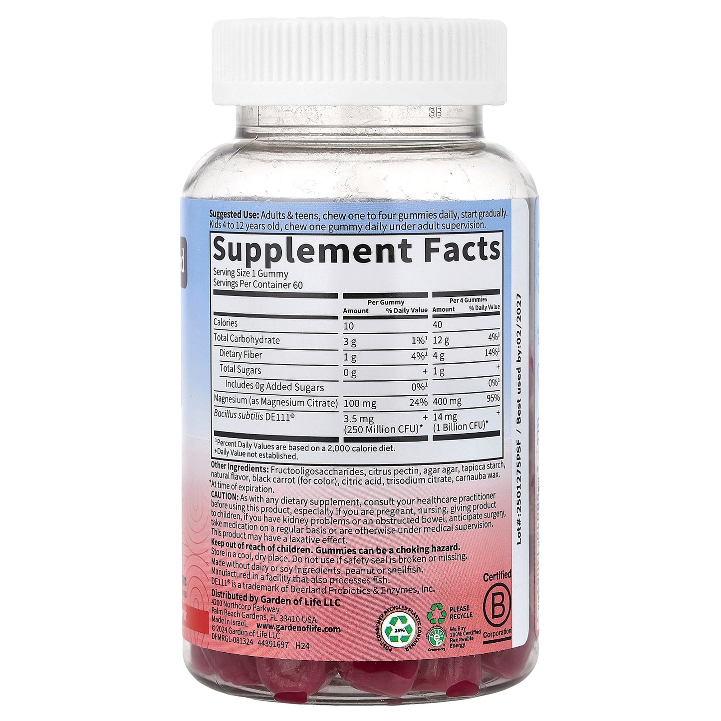 Garden of Life, Magnesium with Pre & Probiotics Gummies, Raspberry , 60 Gummies