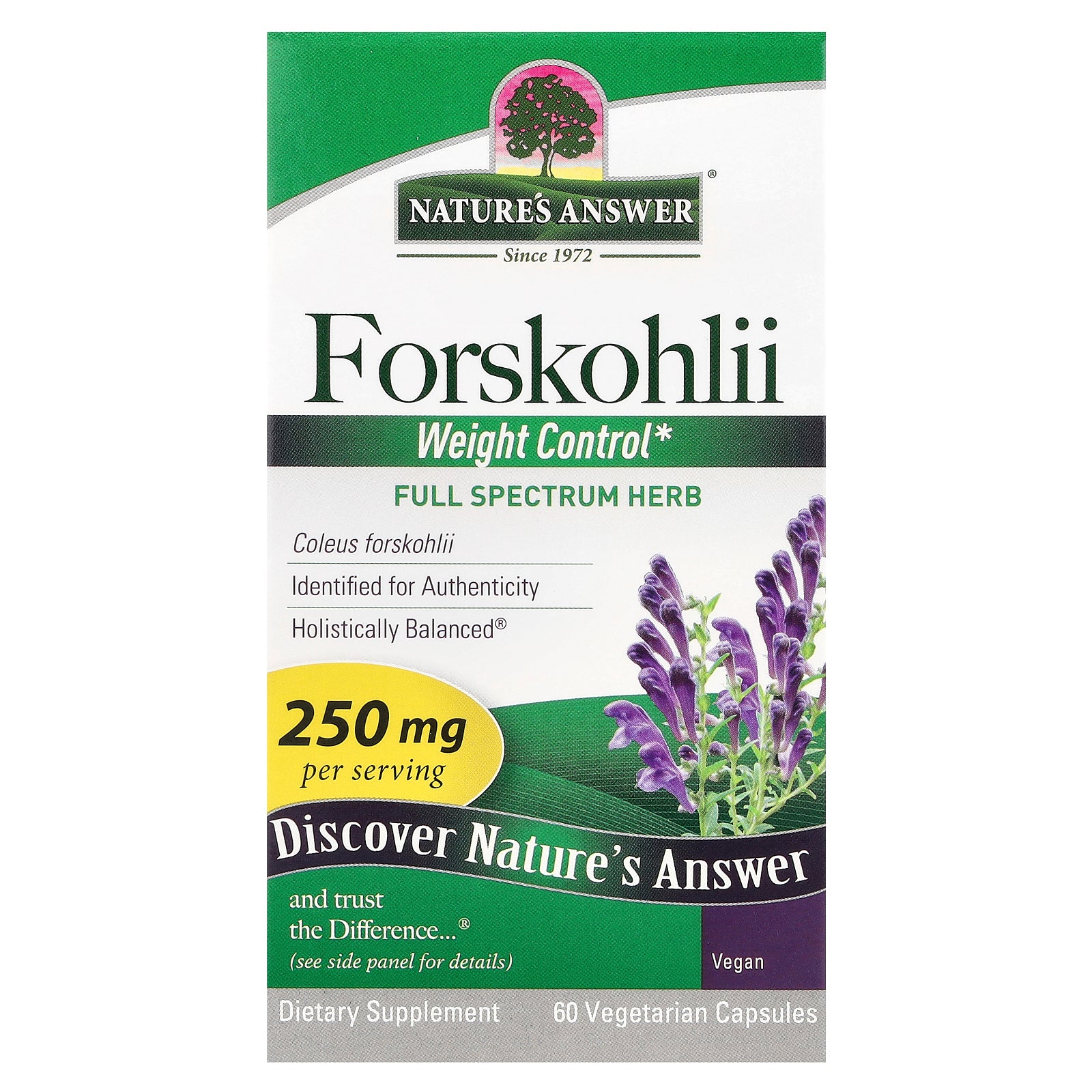 Nature's Answer, Forskohlii, 250 mg, 60 Vegetarian Capsules