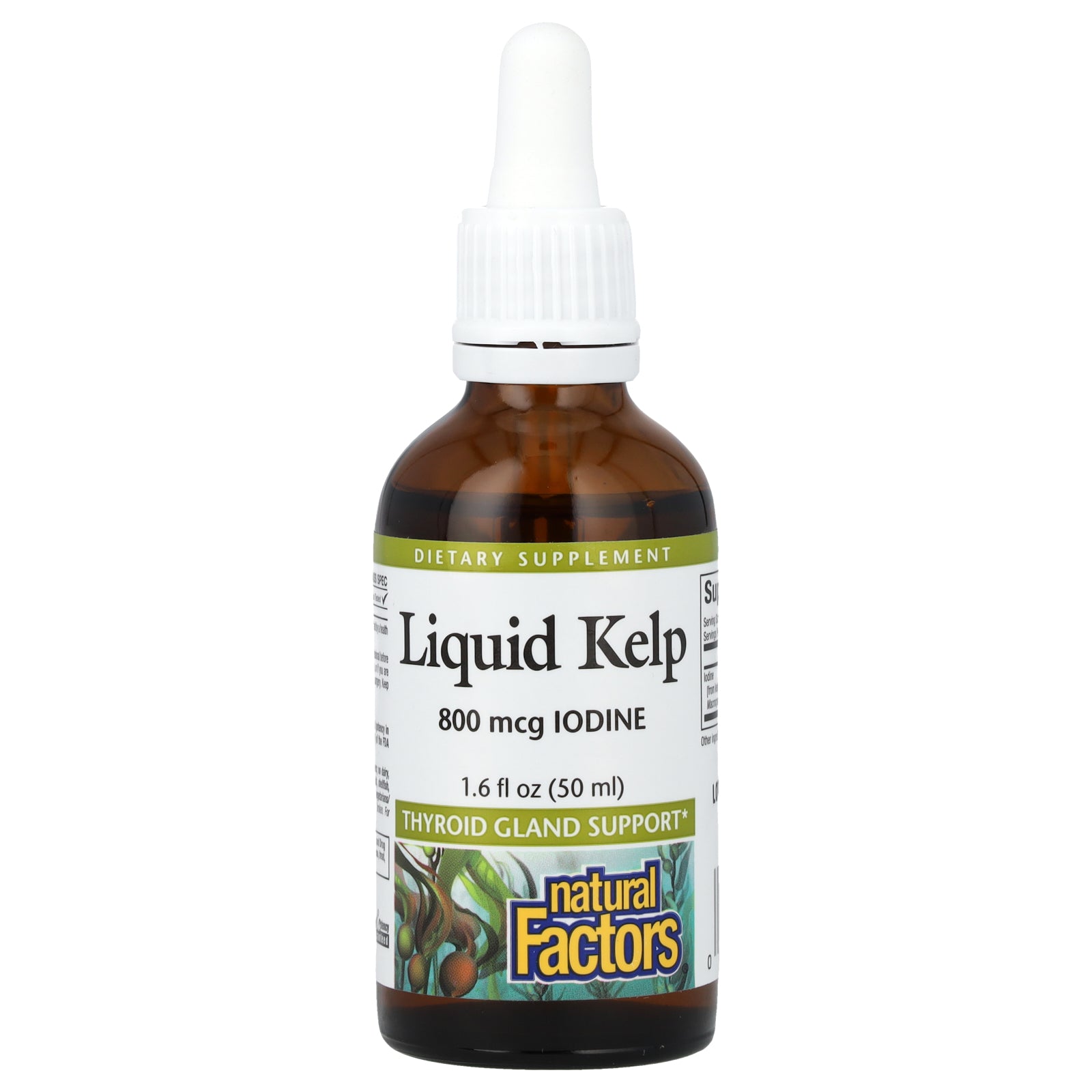 Natural Factors, Liquid Kelp, 800 mcg, 1.6 fl oz (50 ml)