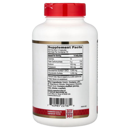 21st Century, Glucosamine Chondroitin, 210 Easy to Swallow Capsules