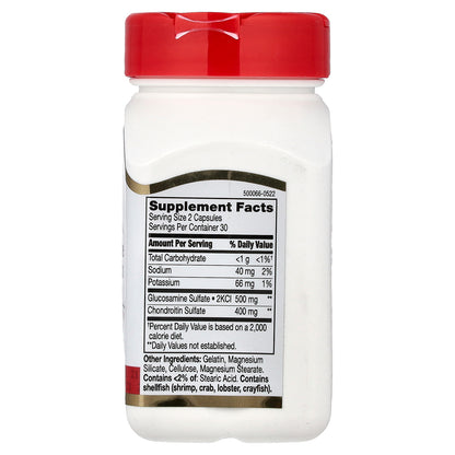 21st Century, Glucosamine Chondroitin, 250 mg/200 mg, 60 Easy To Swallow Capsules