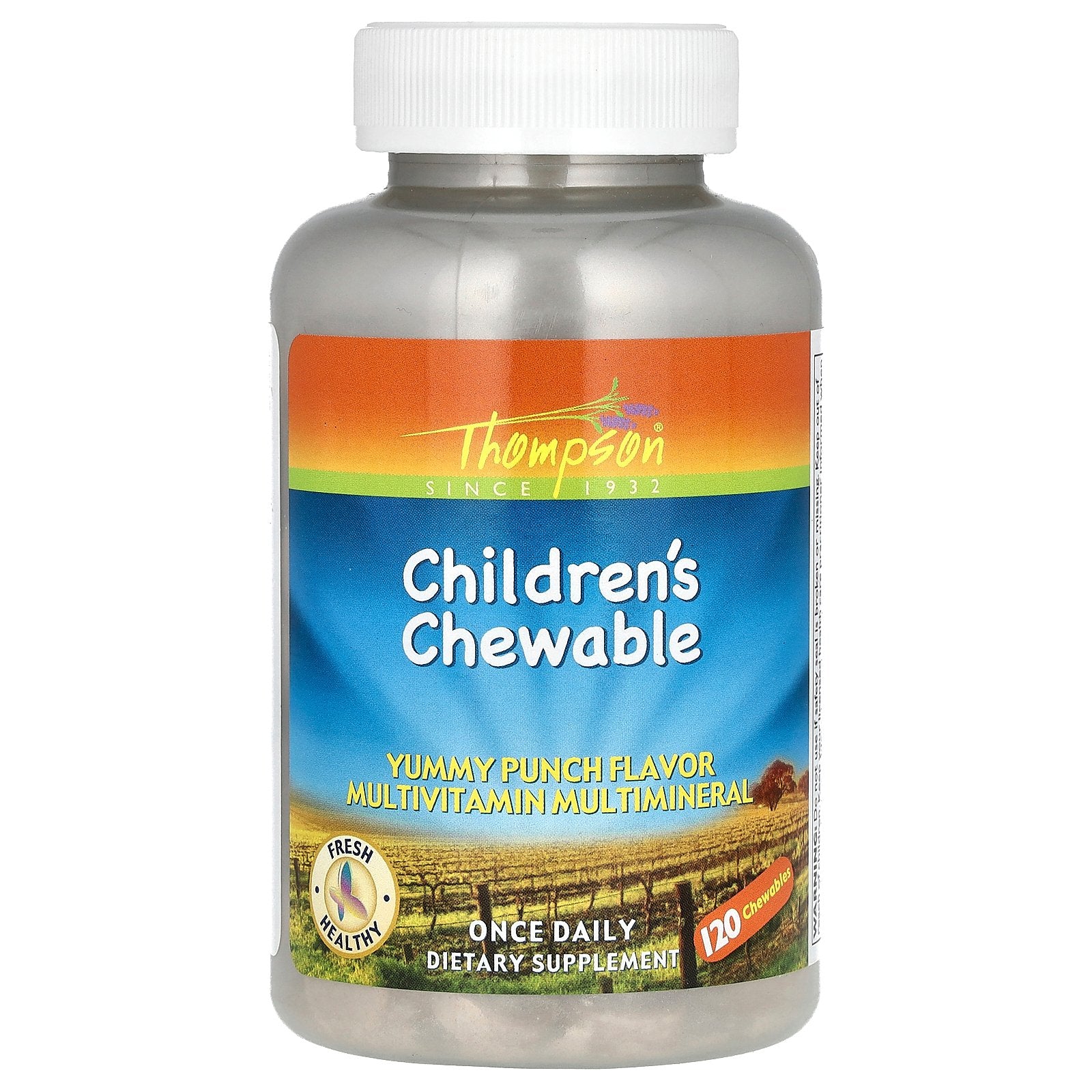 Thompson, Children's Chewable Multivitamin Multimineral, Yummy Punch, 120 Chewables