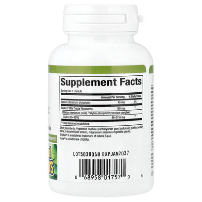 Natural Factors, Herbal Factors®, Premium Milk Thistle, 160 mg, 60 Vegetarian Capsules