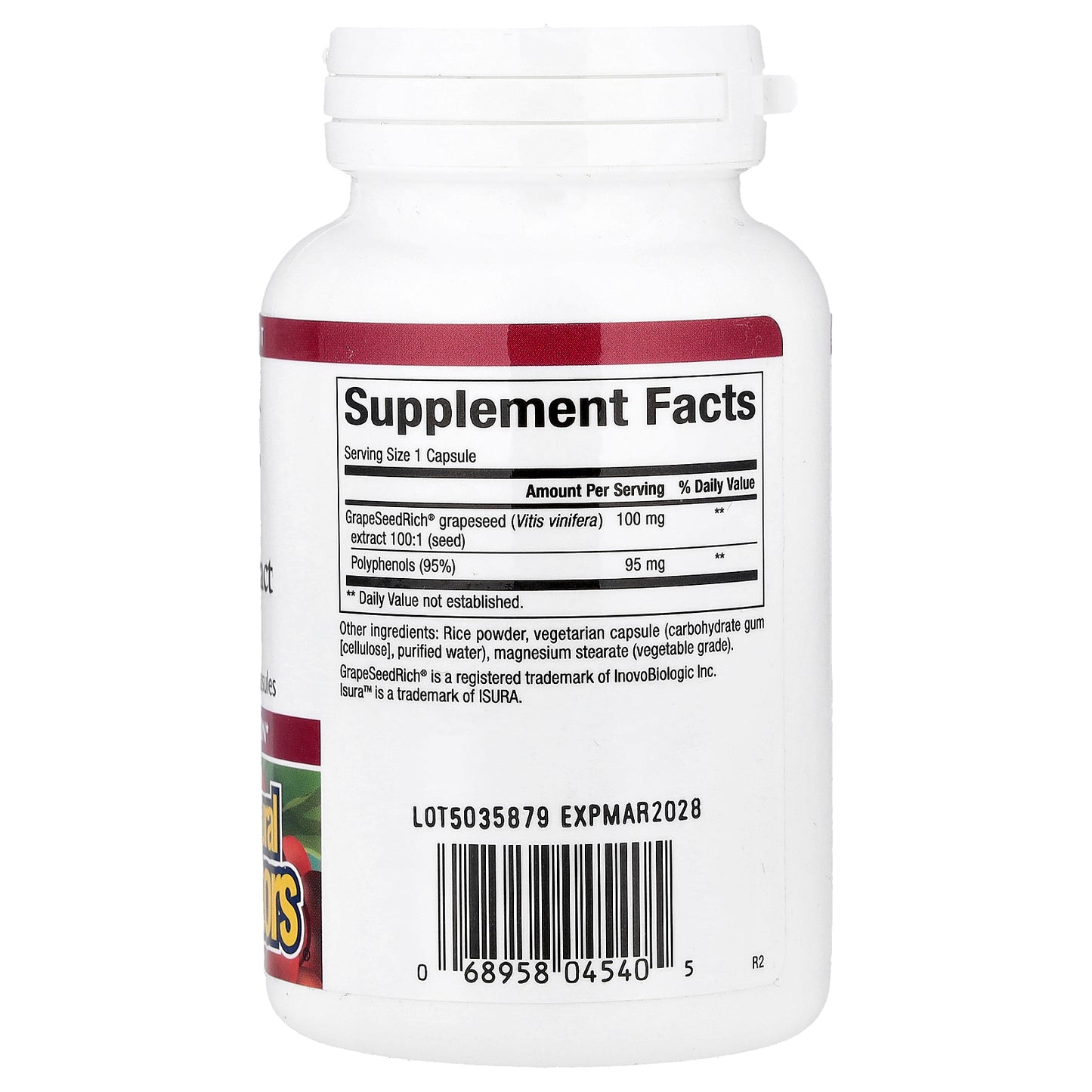 Natural Factors, GrapeSeedRich®, Grape Seed Extract, 100 mg, 120 Vegetarian Capsules