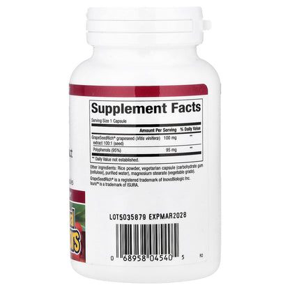 Natural Factors, GrapeSeedRich®, Grape Seed Extract, 100 mg, 120 Vegetarian Capsules