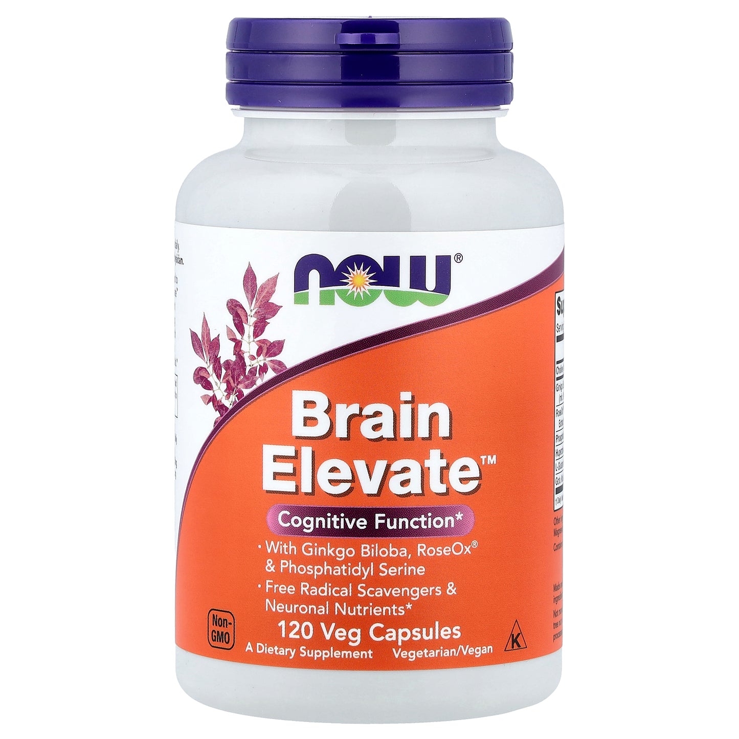 NOW Foods, Brain Elevate™, 120 Veg Capsules