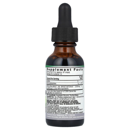 Nature's Answer, Nettle Extract, Alcohol-Free, 2,000 mg, 1 fl oz (30 ml)