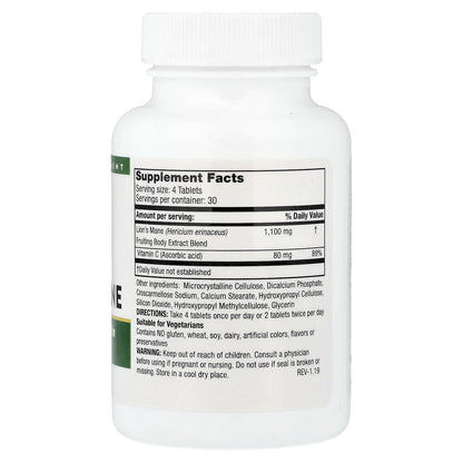 Mushroom Wisdom, Super Lion's Mane, 120 Vegetarian Tablets