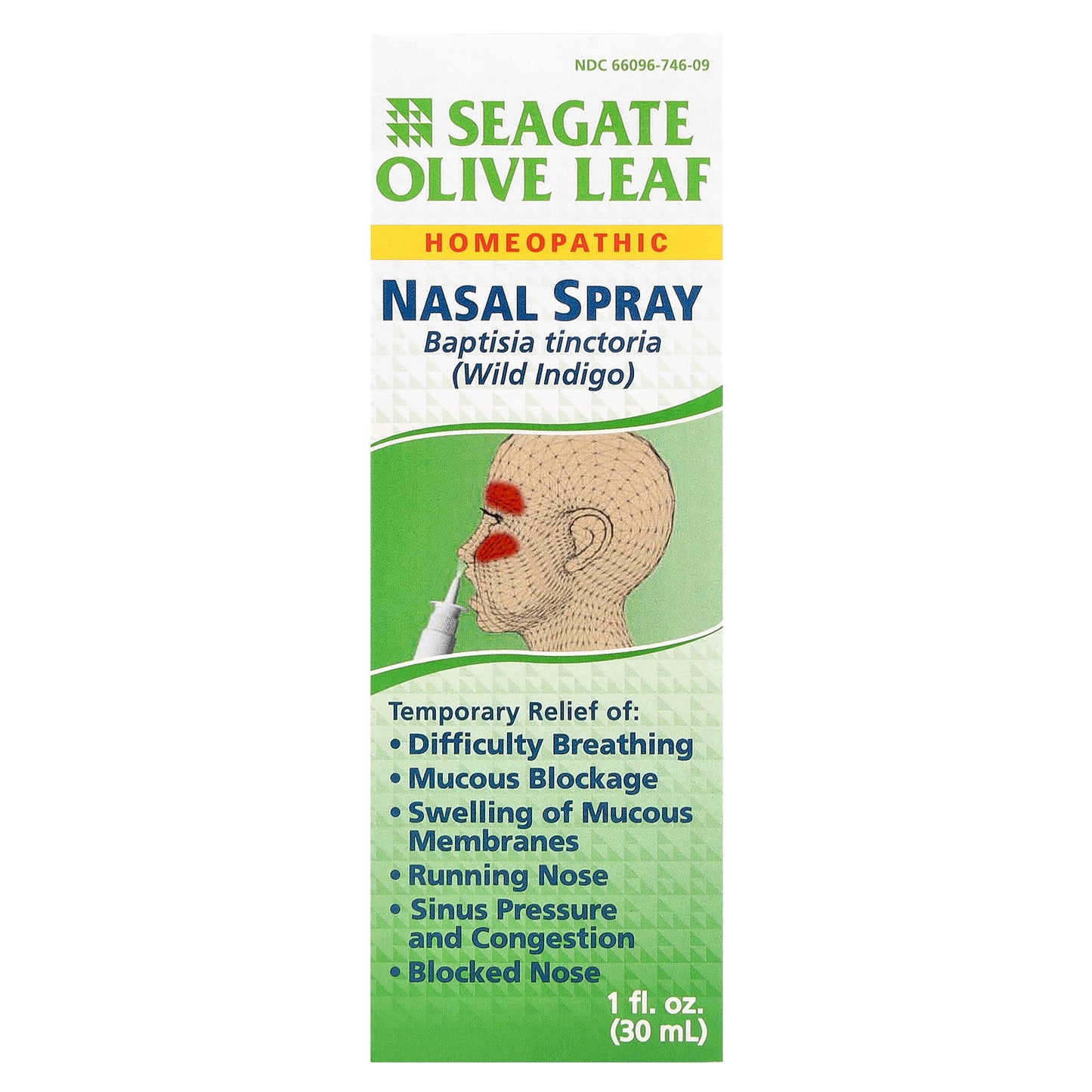 Seagate, Olive Leaf Nasal Spray, 1 fl oz (30 ml)