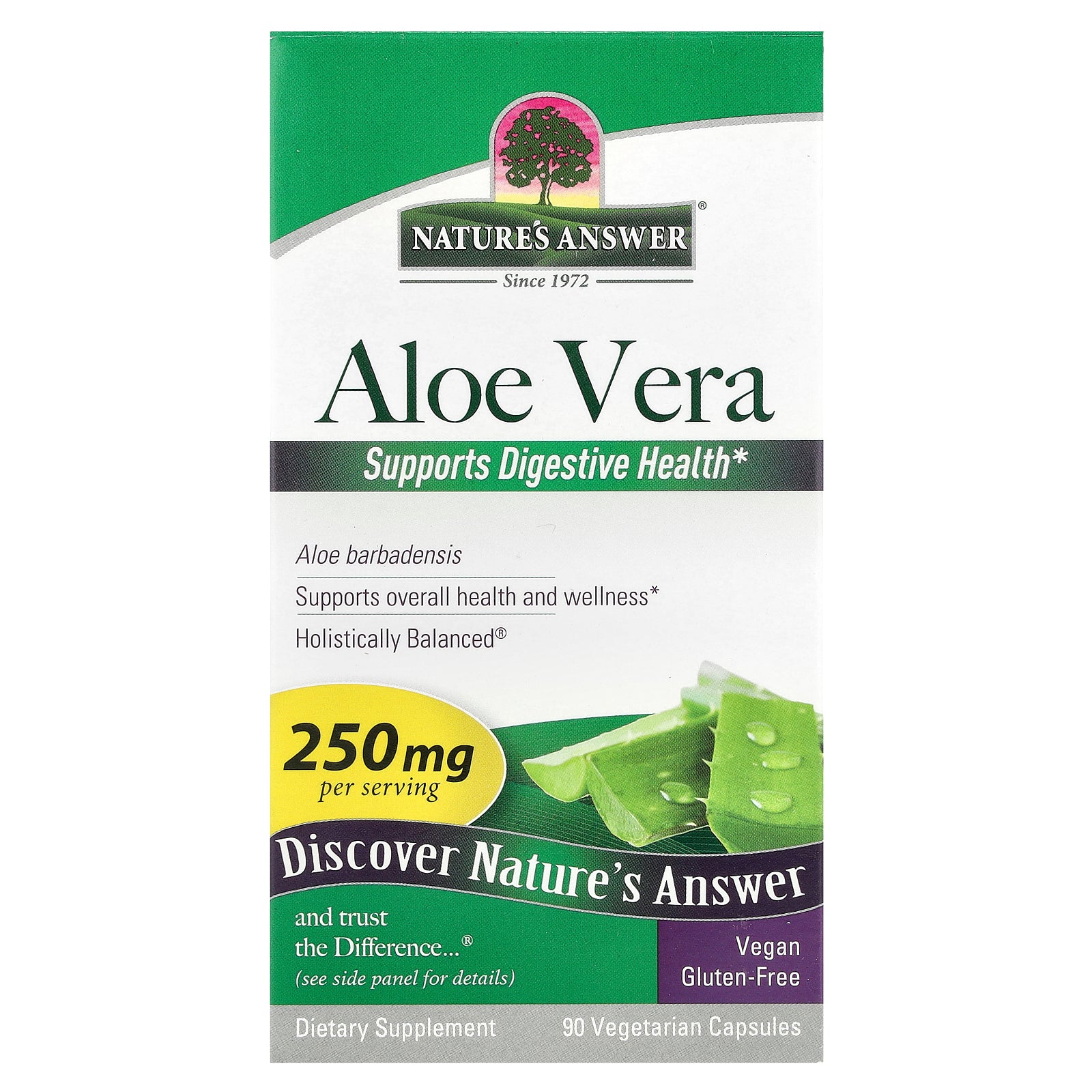 Nature's Answer, Aloe Vera , 250 mg, 90 Vegetarian Capsules