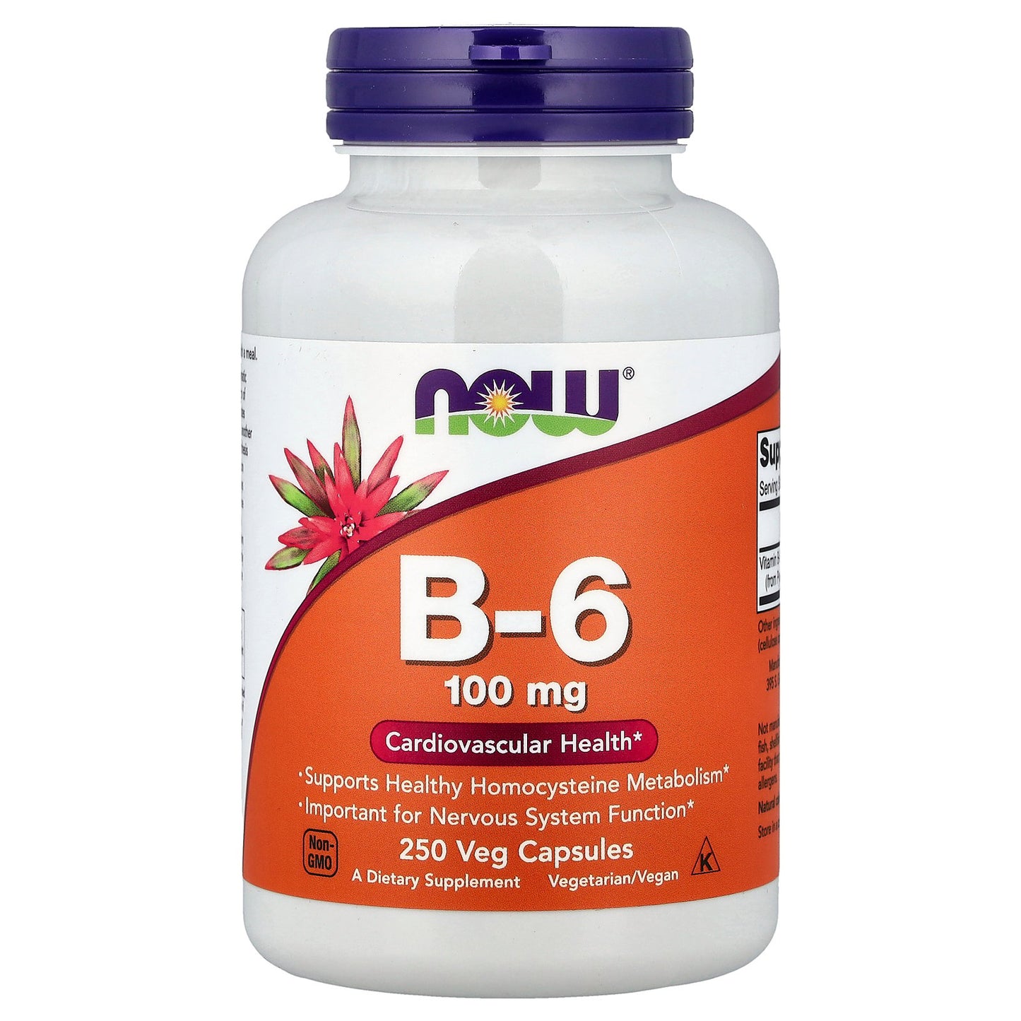 NOW Foods, B-6, 100 mg, 250 Veg Capsules