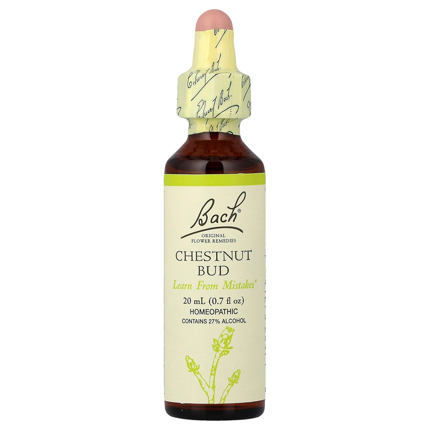 Bach, Original Flower Remedies, Chestnut Bud, 0.7 fl oz (20 ml)