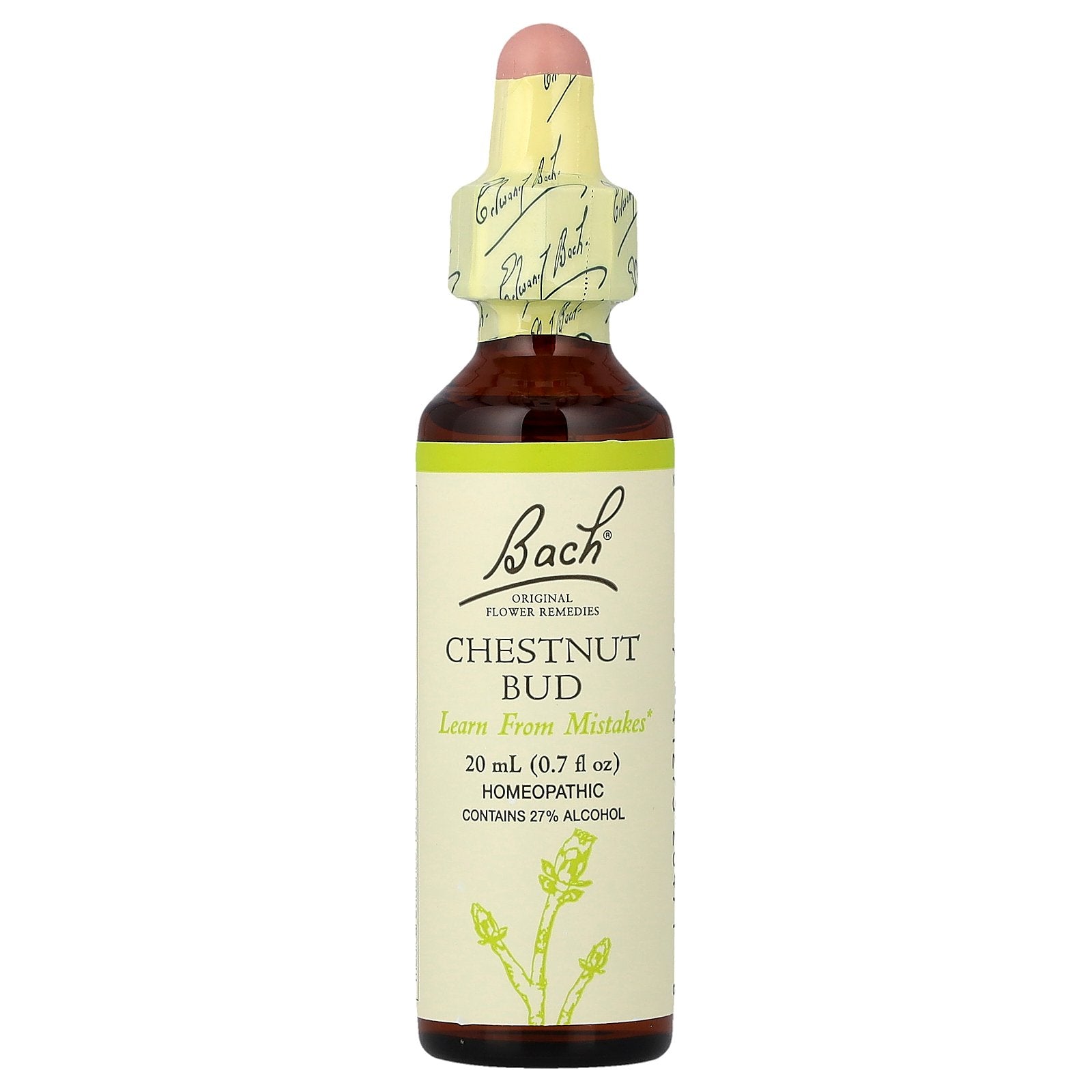 Bach, Original Flower Remedies, Chestnut Bud, 0.7 fl oz (20 ml)