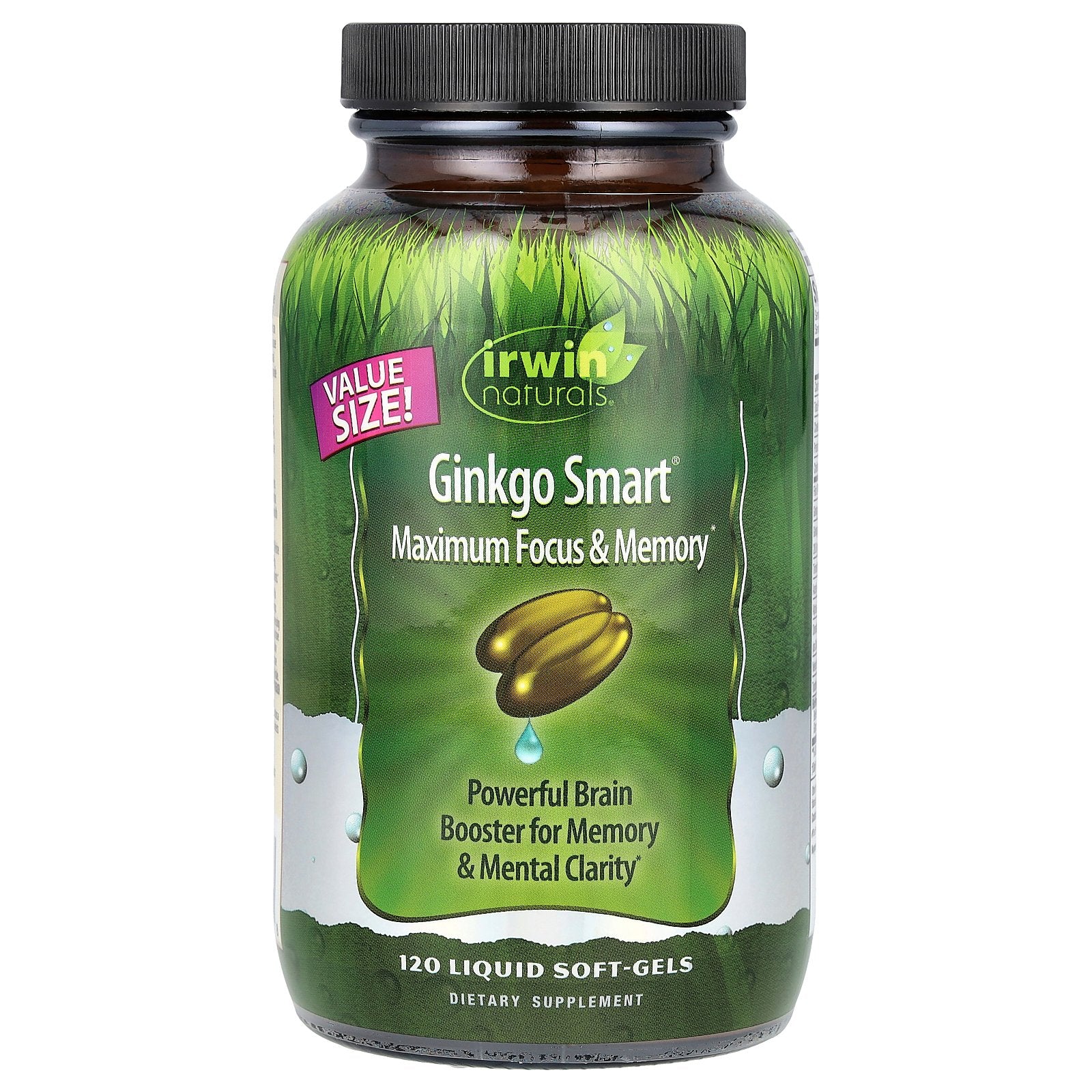 Irwin Naturals, Ginkgo Smart®, Maximum Focus & Memory, 120 Liquid Soft-Gels