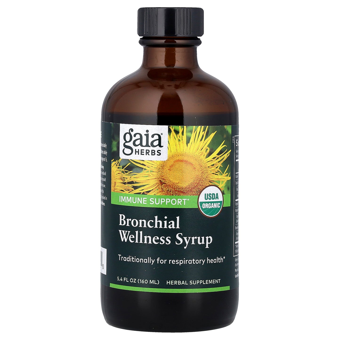 Gaia Herbs, Bronchial Wellness Syrup, 5.4 fl oz (160 ml)