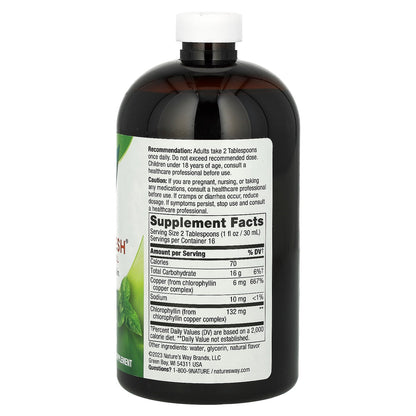 Nature's Way, Chlorofresh, Liquid Chlorophyll, Mint, 132 mg, 16 fl oz (480 ml) (132 mg per 2 Tbsp)