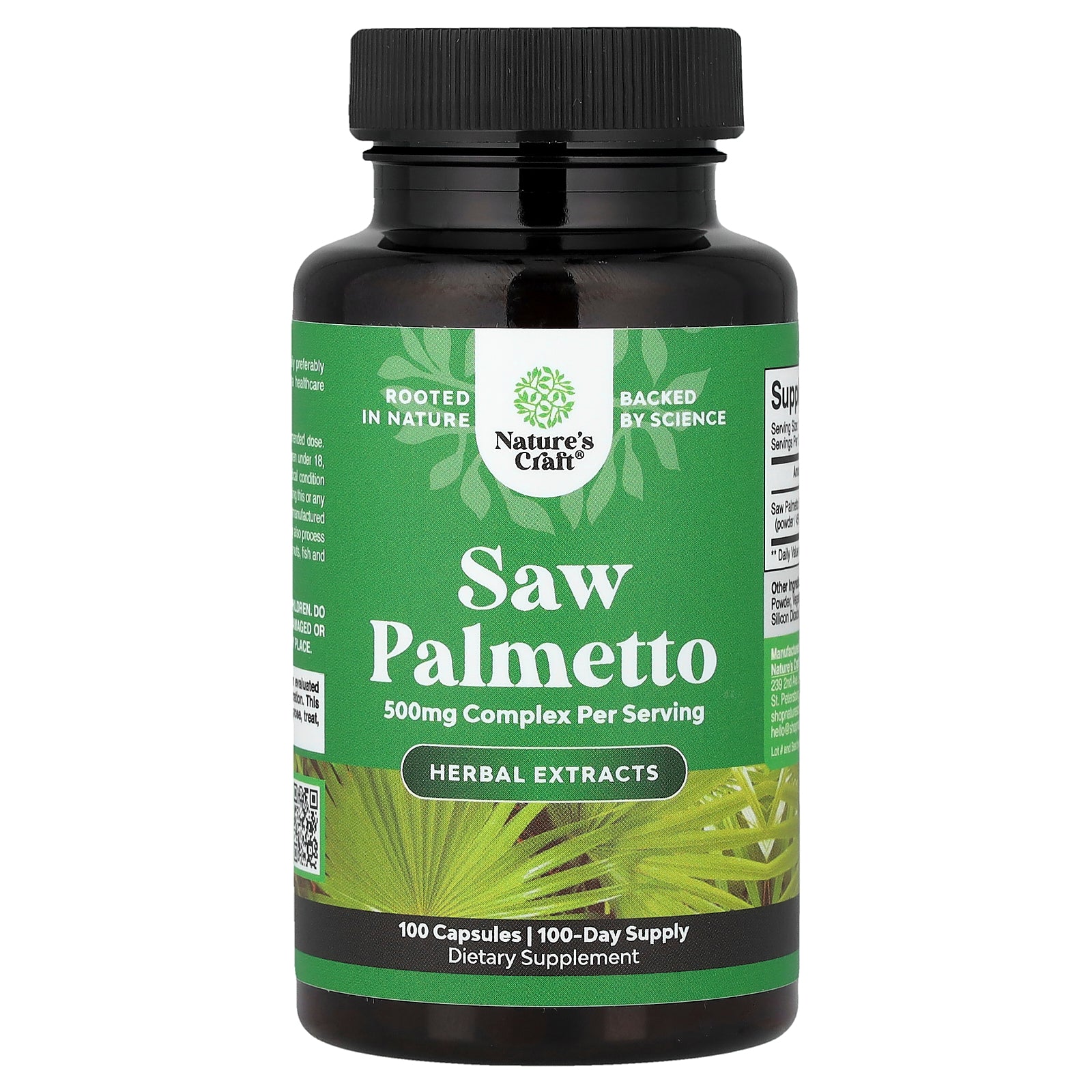 Nature's Craft, Saw Palmetto, 500 mg, 100 Capsules