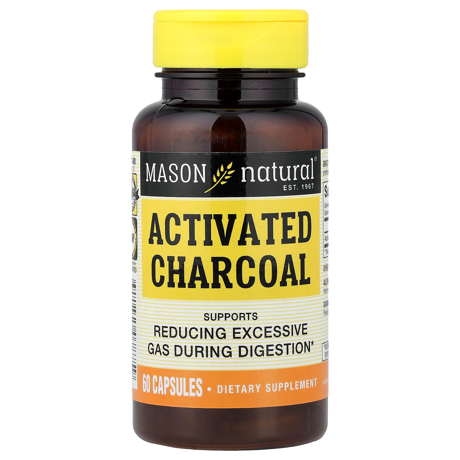 Mason Natural, Activated Charcoal, 60 Capsules (260 mg per Capsule)