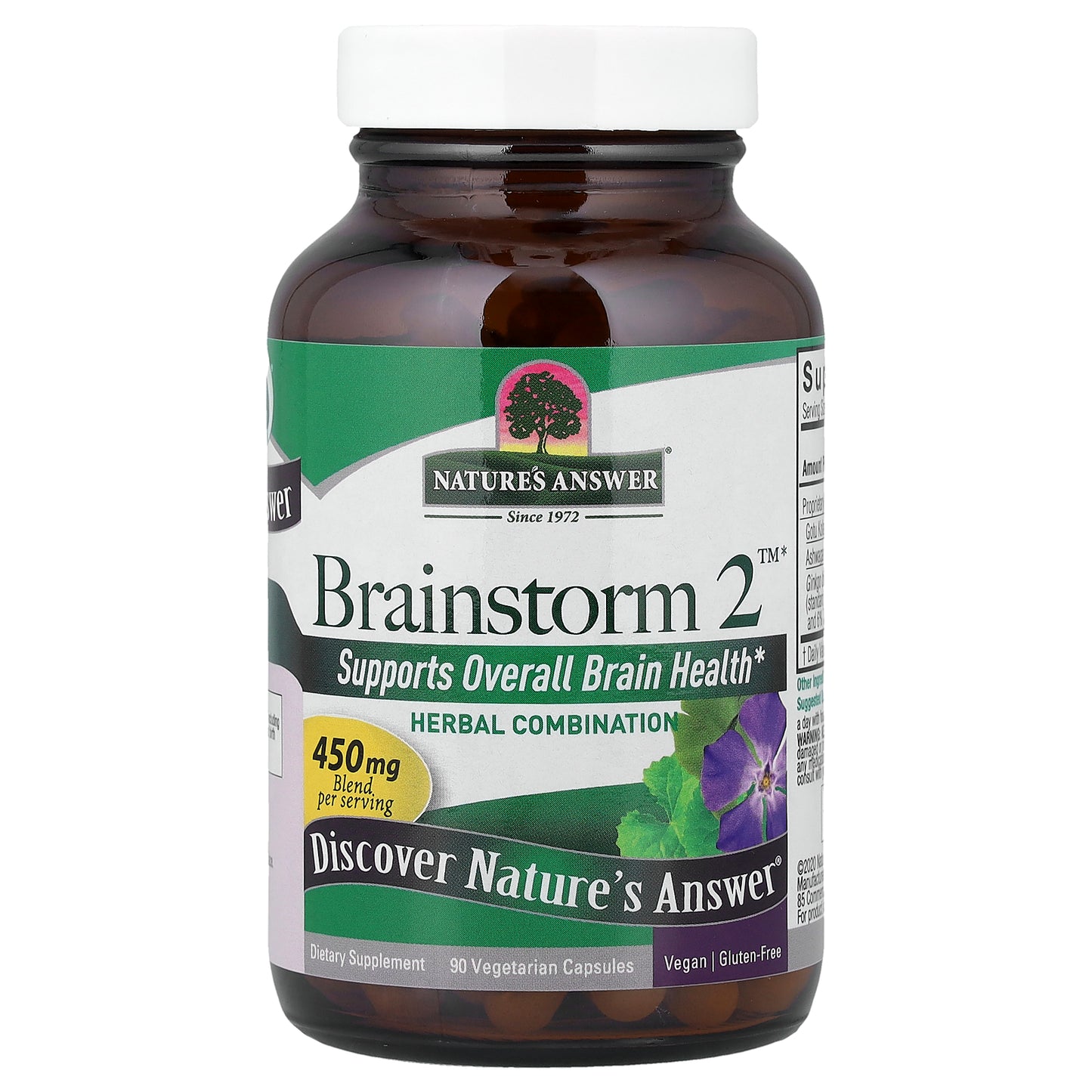 Nature's Answer, Brainstorm 2™, Herbal Combination, 90 Vegetarian Capsules
