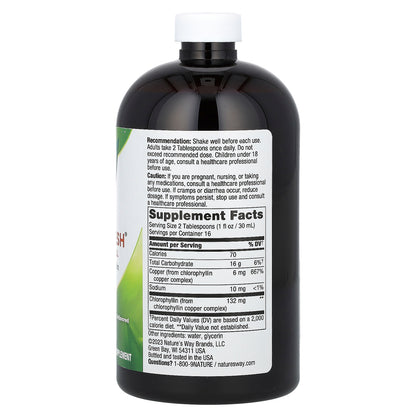 Nature's Way, Chlorofresh, Liquid Chlorophyll, Unflavored, 132 mg, 16 fl oz (480 ml)