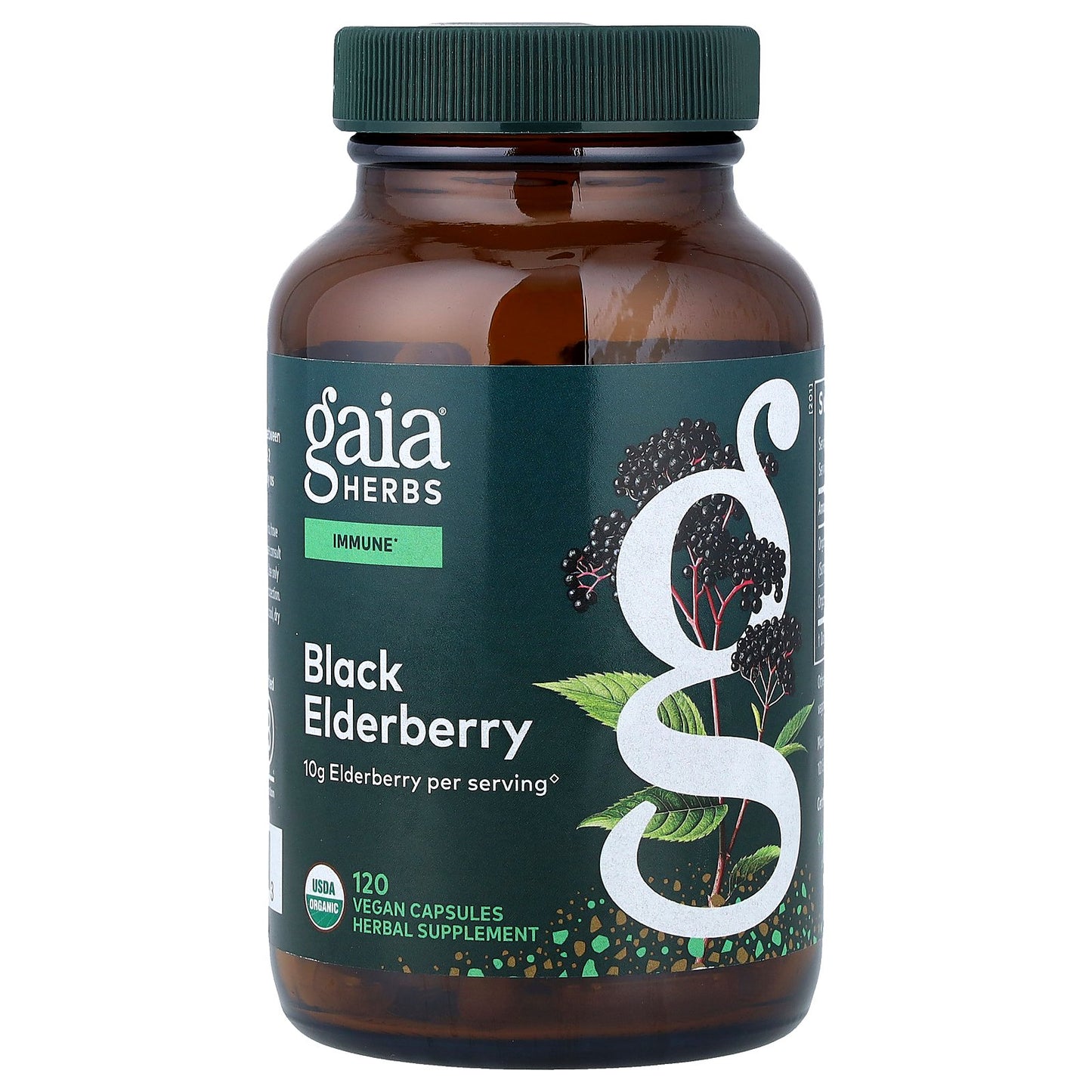 Gaia Herbs, Black Elderberry , 120 Vegan Capsules