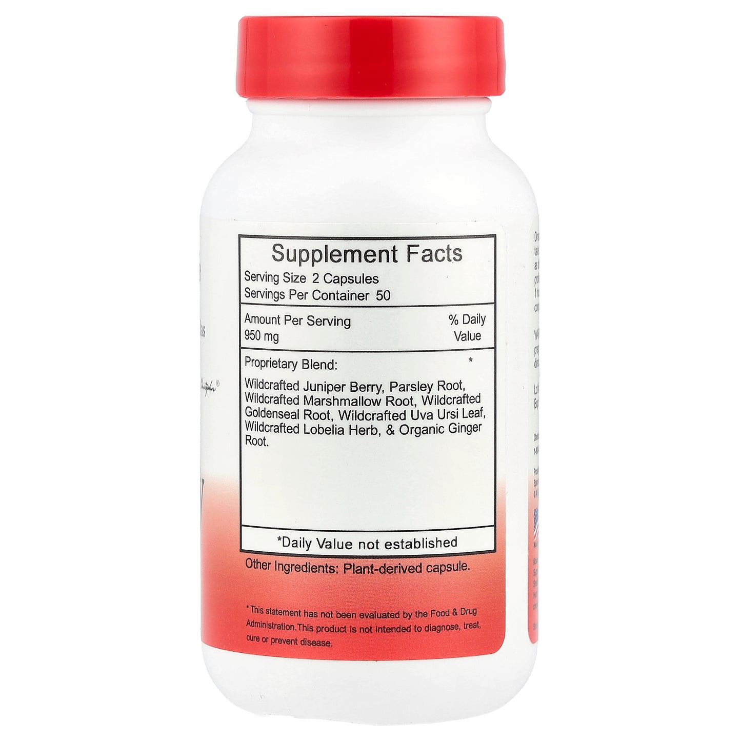 Christopher's Original Formulas, Kidney Formula, 475 mg, 100 Vegetarian Caps