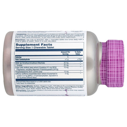 Solaray, Kids Focus Chewables, Natural Grape, 60 Chewables