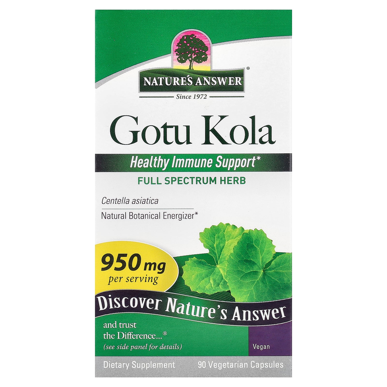 Nature's Answer, Gotu Kola, 90 Vegetarian Capsules (475 mg per Capsule)