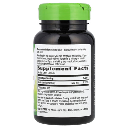 Nature's Way, Niacinamide, Non-Flushing, 500 mg, 100 Capsules