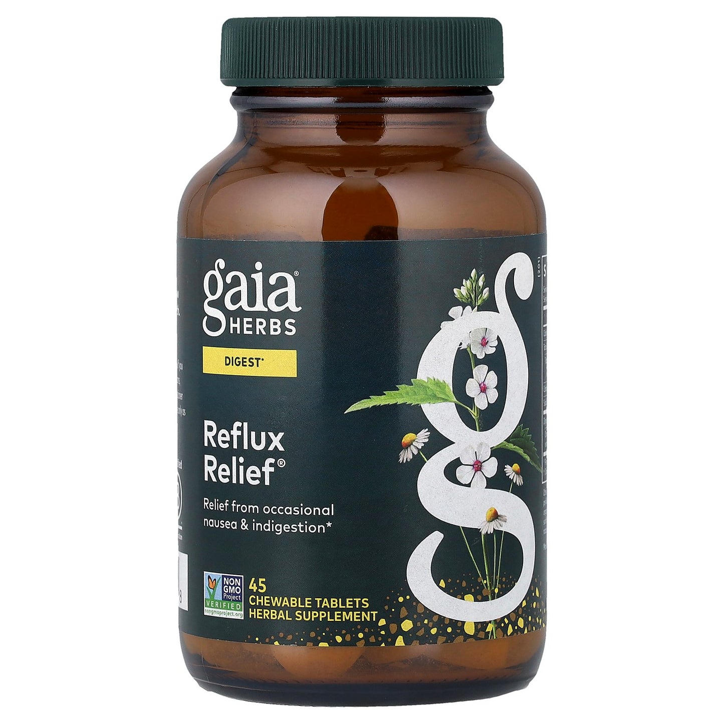 Gaia Herbs, Reflux Relief®, 45 Chewable Tablets