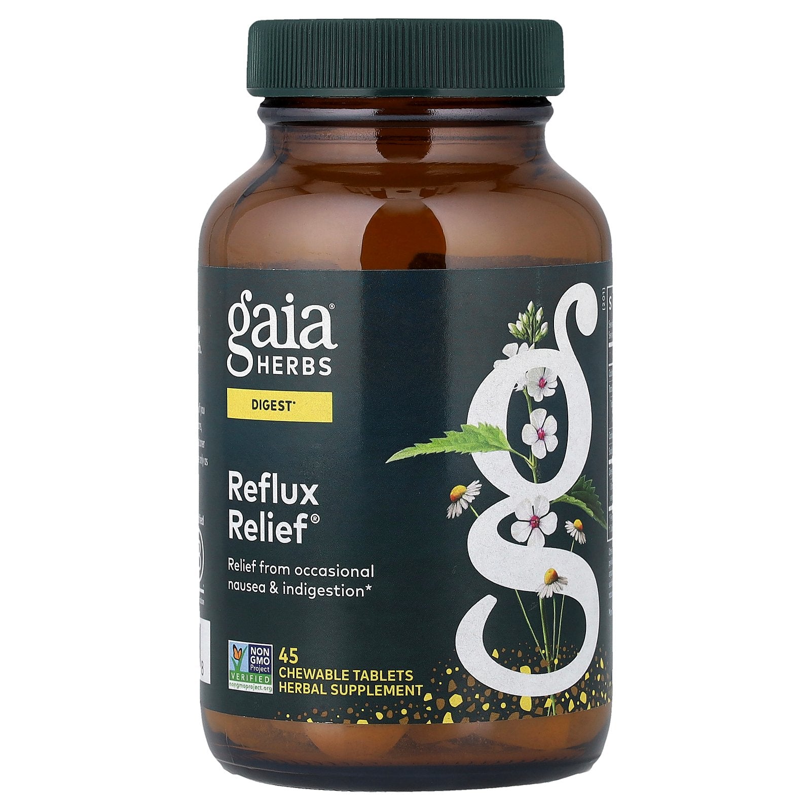 Gaia Herbs, Reflux Relief®, 45 Chewable Tablets