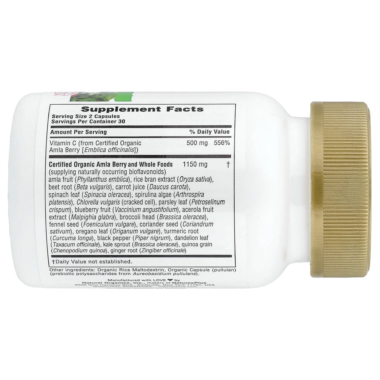 NaturesPlus, Source of Life Garden®, Vitamin C, Amla Berry, 60 Vegan Capsules