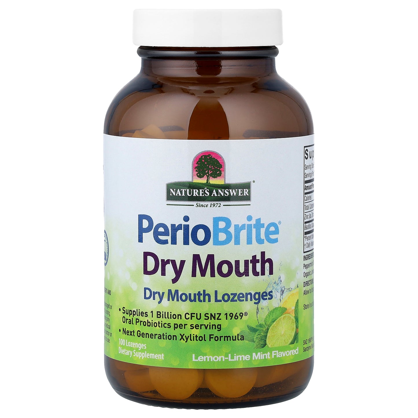 Nature's Answer, PerioBrite® Dry Mouth Lozenges, Lemon-Lime Mint, 100 Lozenges