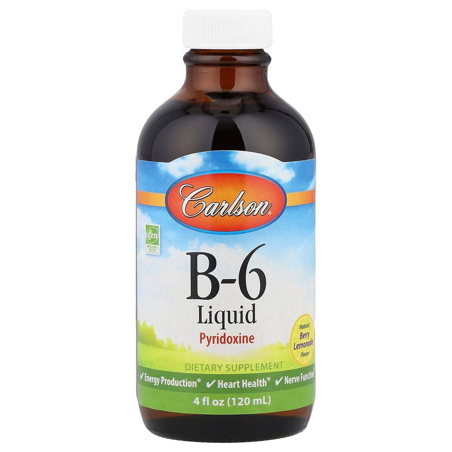 Carlson, B-6 Liquid, Natural Berry Lemonade, 4 fl oz (120 ml)